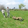 Basic Airborne Course 044